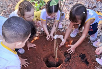 Cultivando Conhecimento e Semeando Valores: O Projeto Horta na Educação Infantil